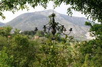 /album/i-fiori-di-casa-acquarella/a12-img-8502-r-jpg/